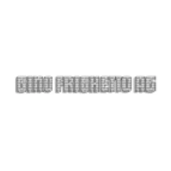 Gino Frighetto AG