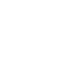 Bischoff Bau